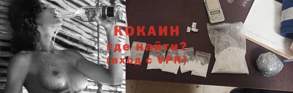 не бодяженный Гусев