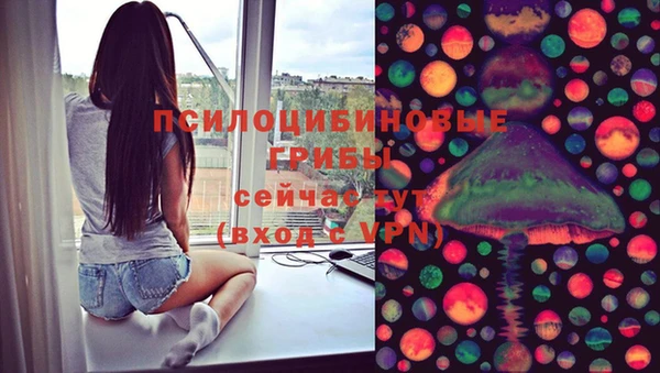 дмт Гусь-Хрустальный
