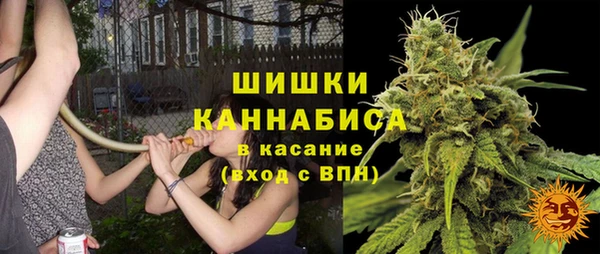не бодяженный Гусев