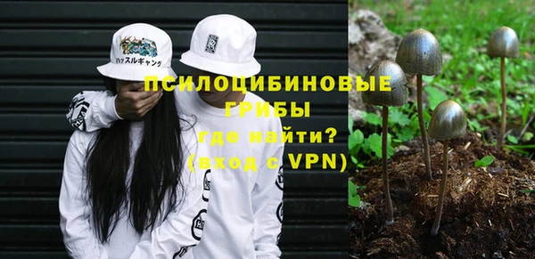дмт Горно-Алтайск