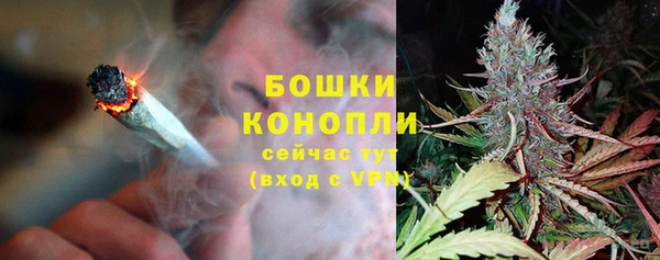альфа пвп Гусиноозёрск