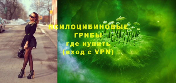 дмт Горно-Алтайск
