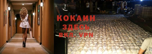 дмт Гусь-Хрустальный